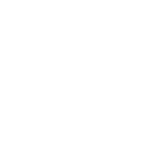 Shopify Logo